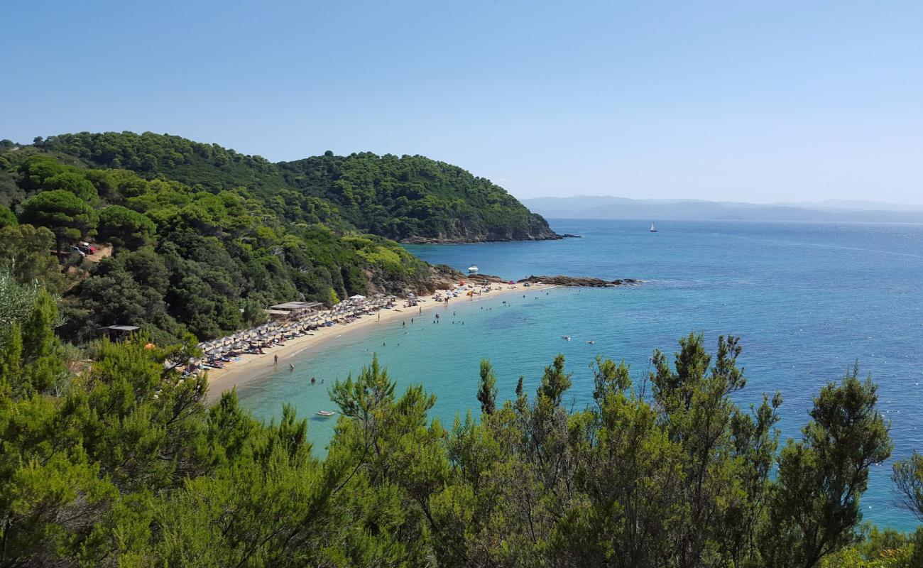 Photo de Little Banana beach avec sable fin et lumineux de surface