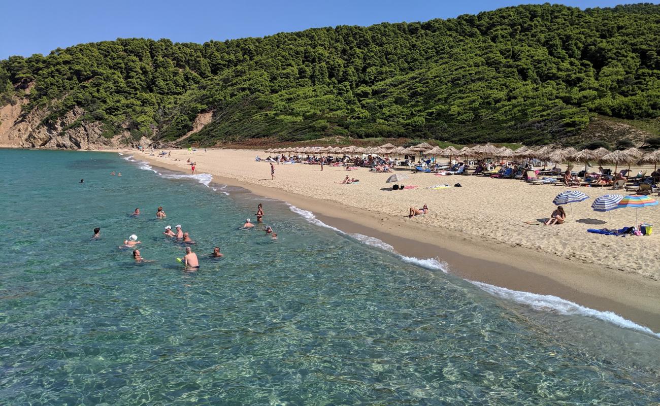 Photo de Paralia Megalos Aselinos avec sable gris de surface