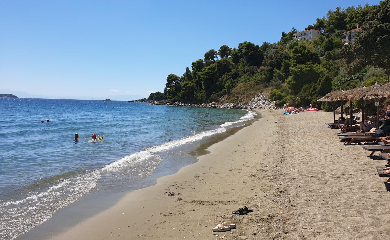 Photo de Paralia Vasilias avec sable gris de surface