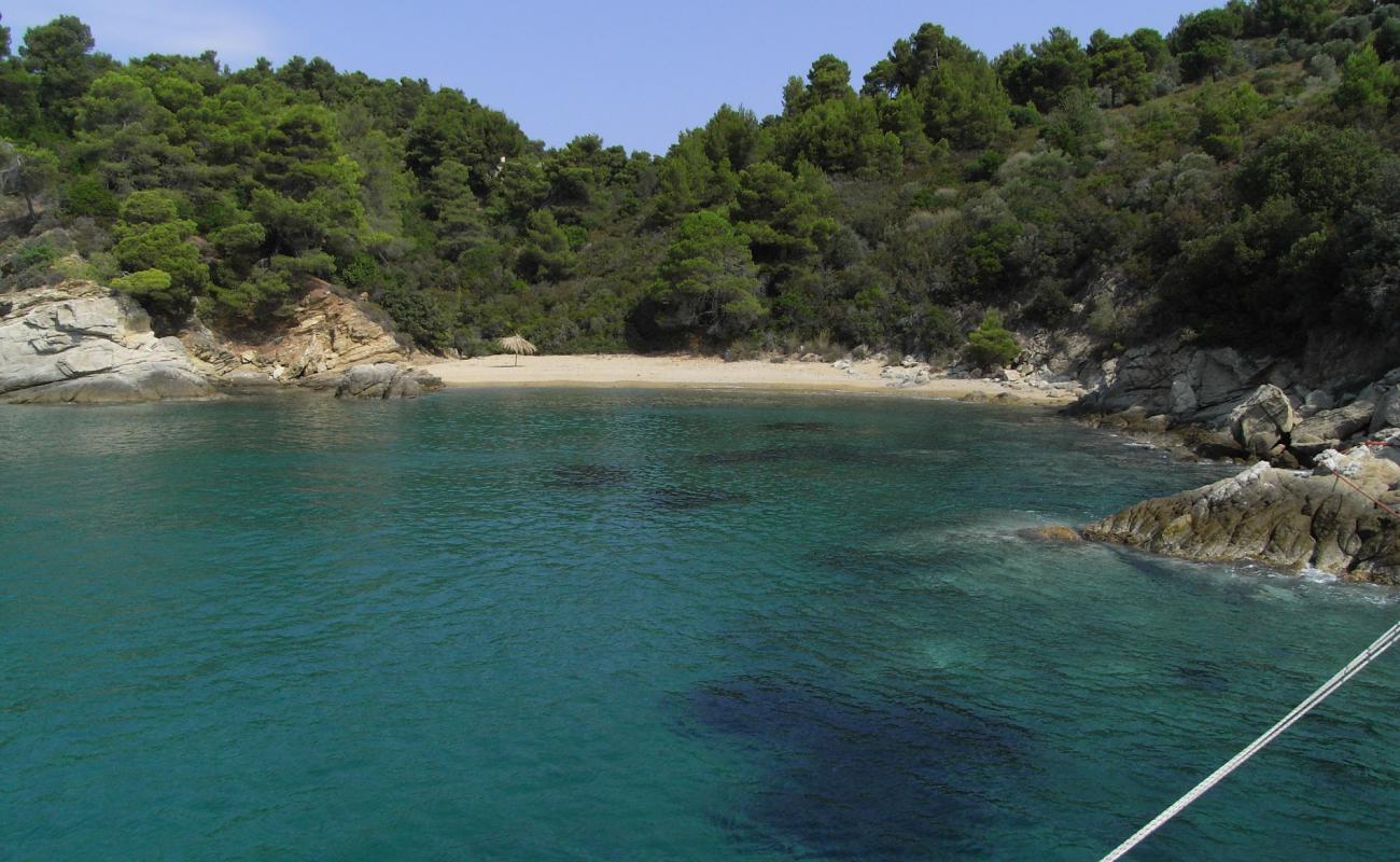 Photo de Skiathos beach II avec sable lumineux de surface