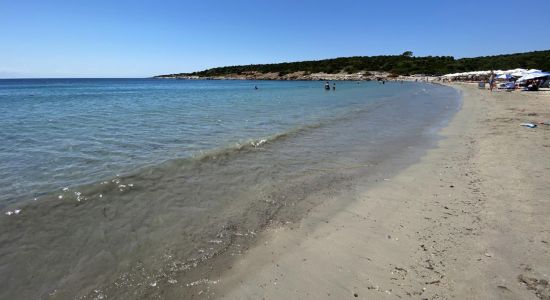 Kalogria beach