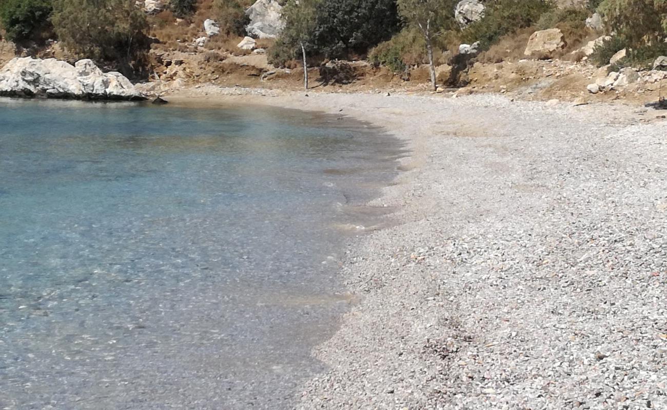 Photo de August beach avec sable brillant et rochers de surface