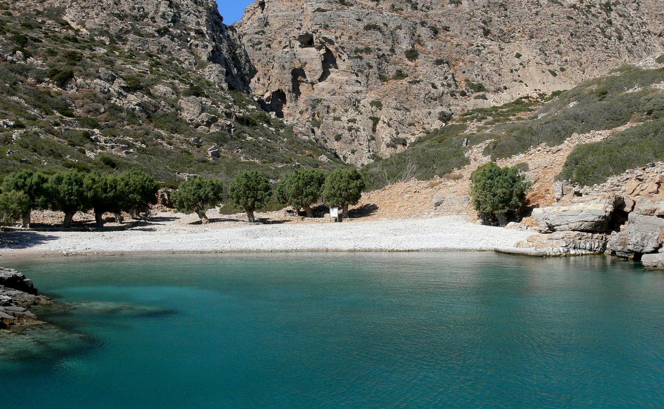 Photo de Saria beach situé dans une zone naturelle