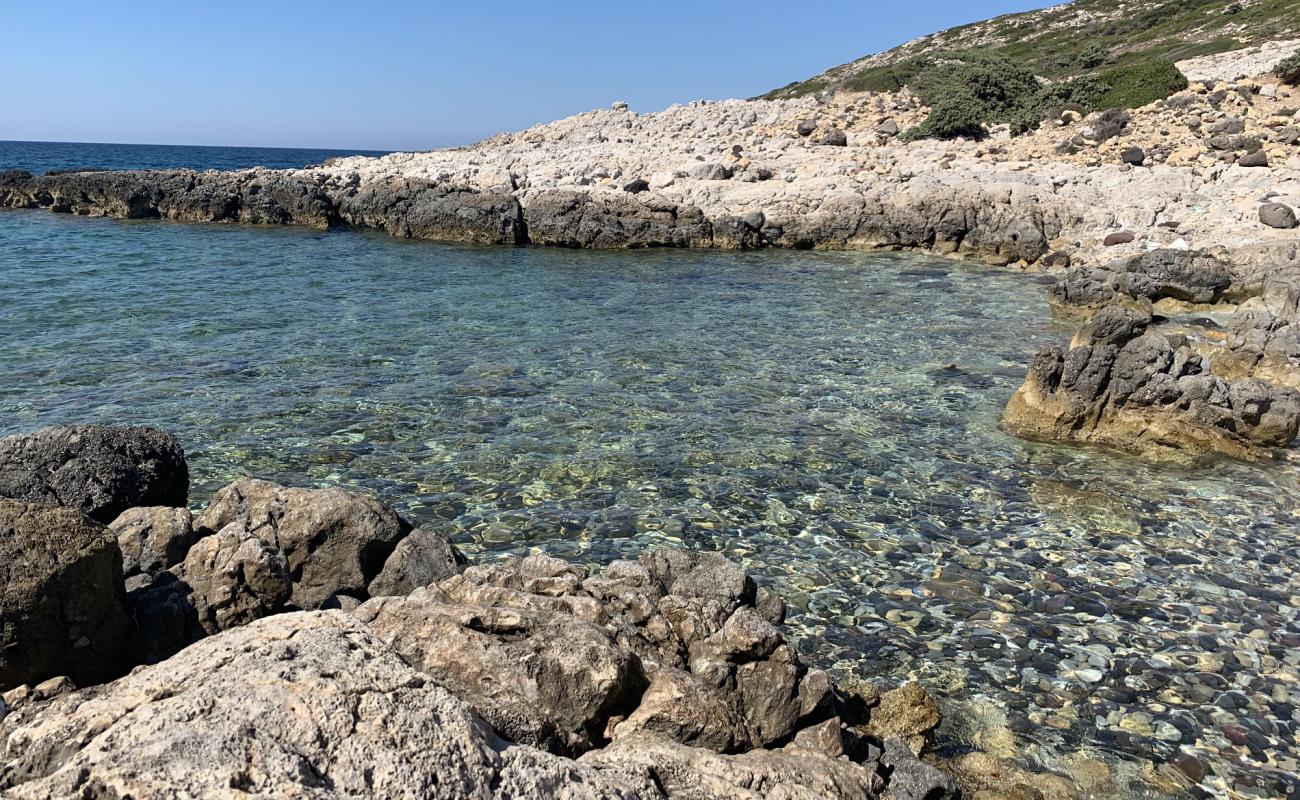 Photo de Eukaryotes cove beach avec roches de surface