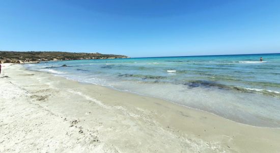 Kohilari beach