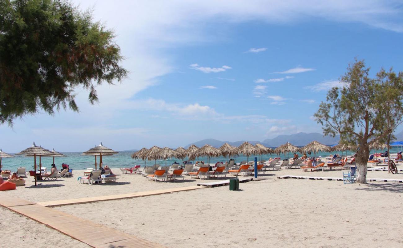 Photo de Paralia Mastichari avec sable fin et lumineux de surface