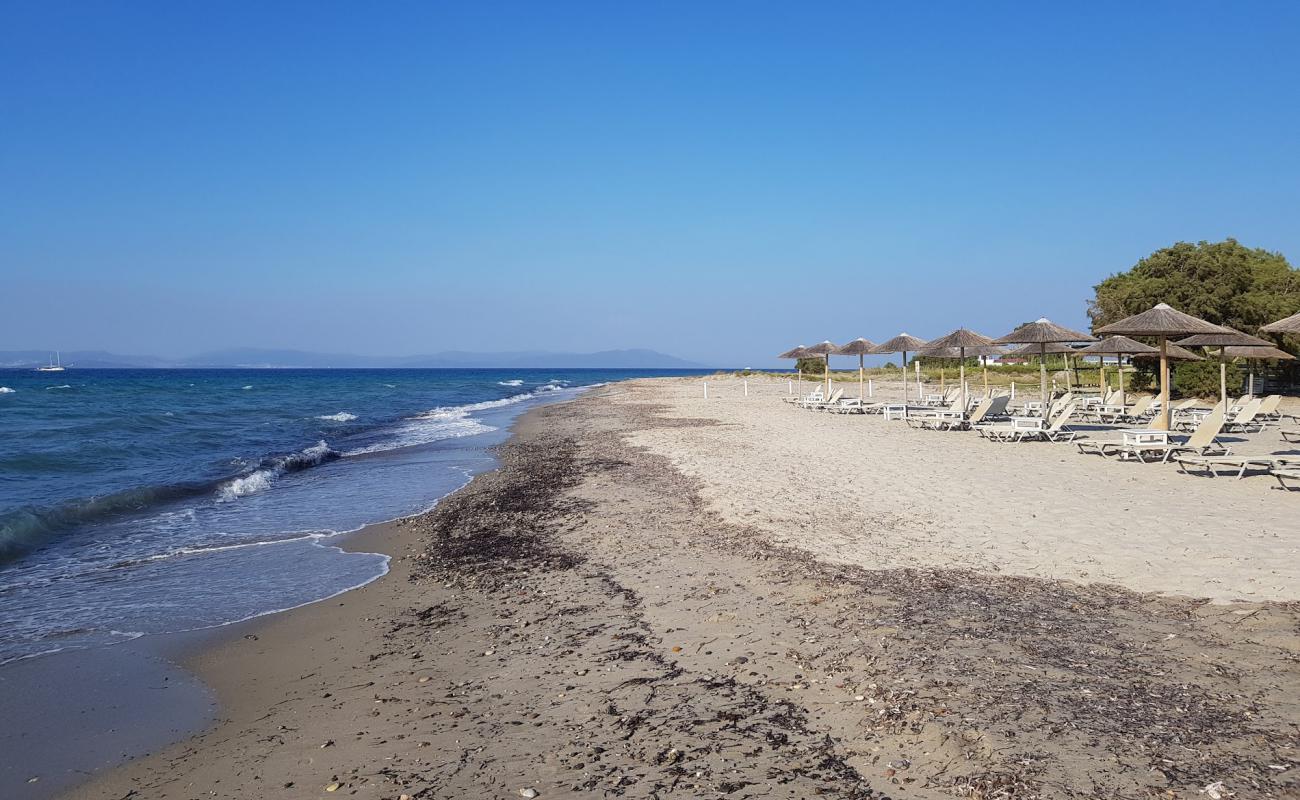 Photo de Aqua Blue beach avec sable lumineux de surface