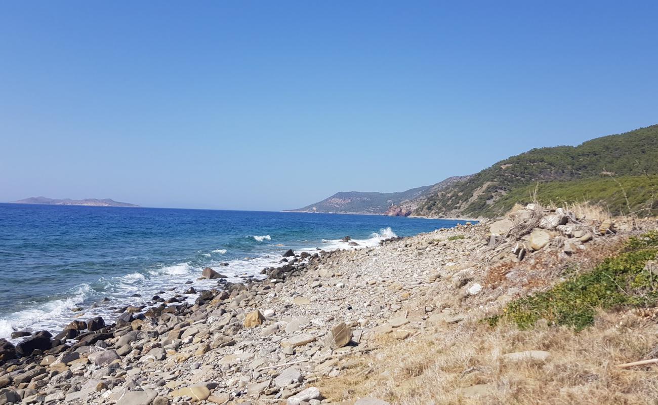 Photo de Paralia Glifada IV avec roches de surface