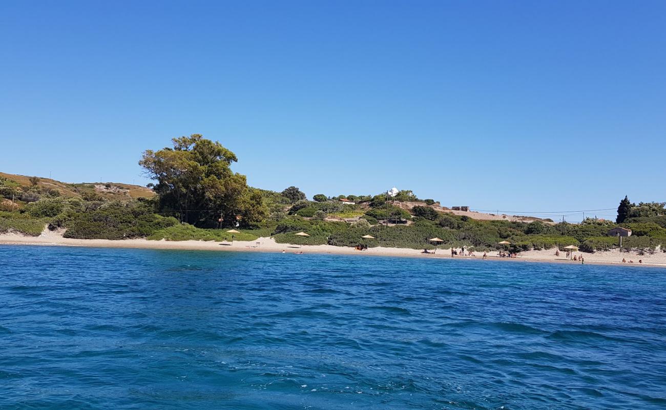 Photo de Apiganos beach avec sable brun de surface