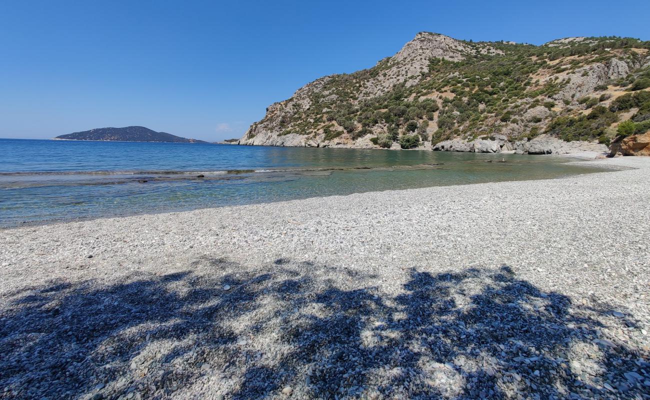 Photo de Paralia Tsopela avec galets beige de surface