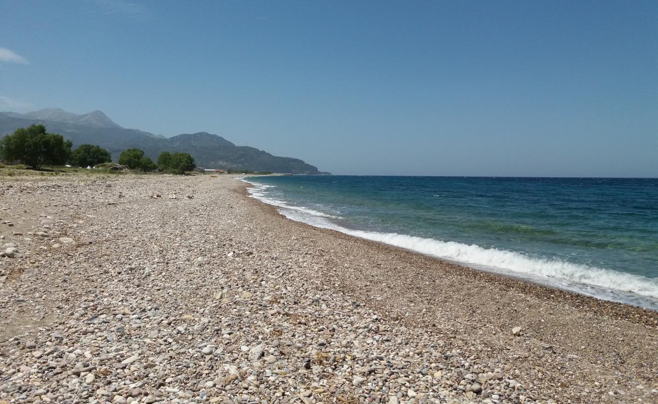 Photo de Petalides beach II avec caillou clair de surface