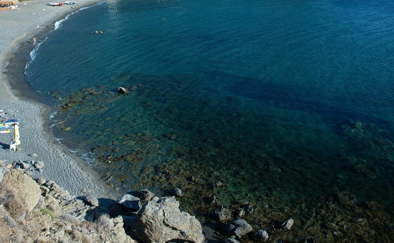 Photo de Zanakounta beach avec caillou clair de surface