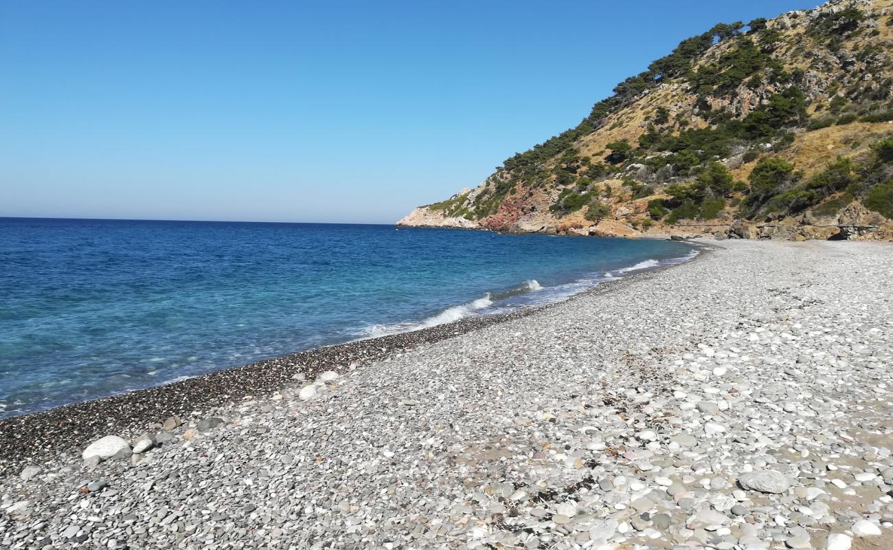 Photo de Amadon Beach avec caillou gris de surface