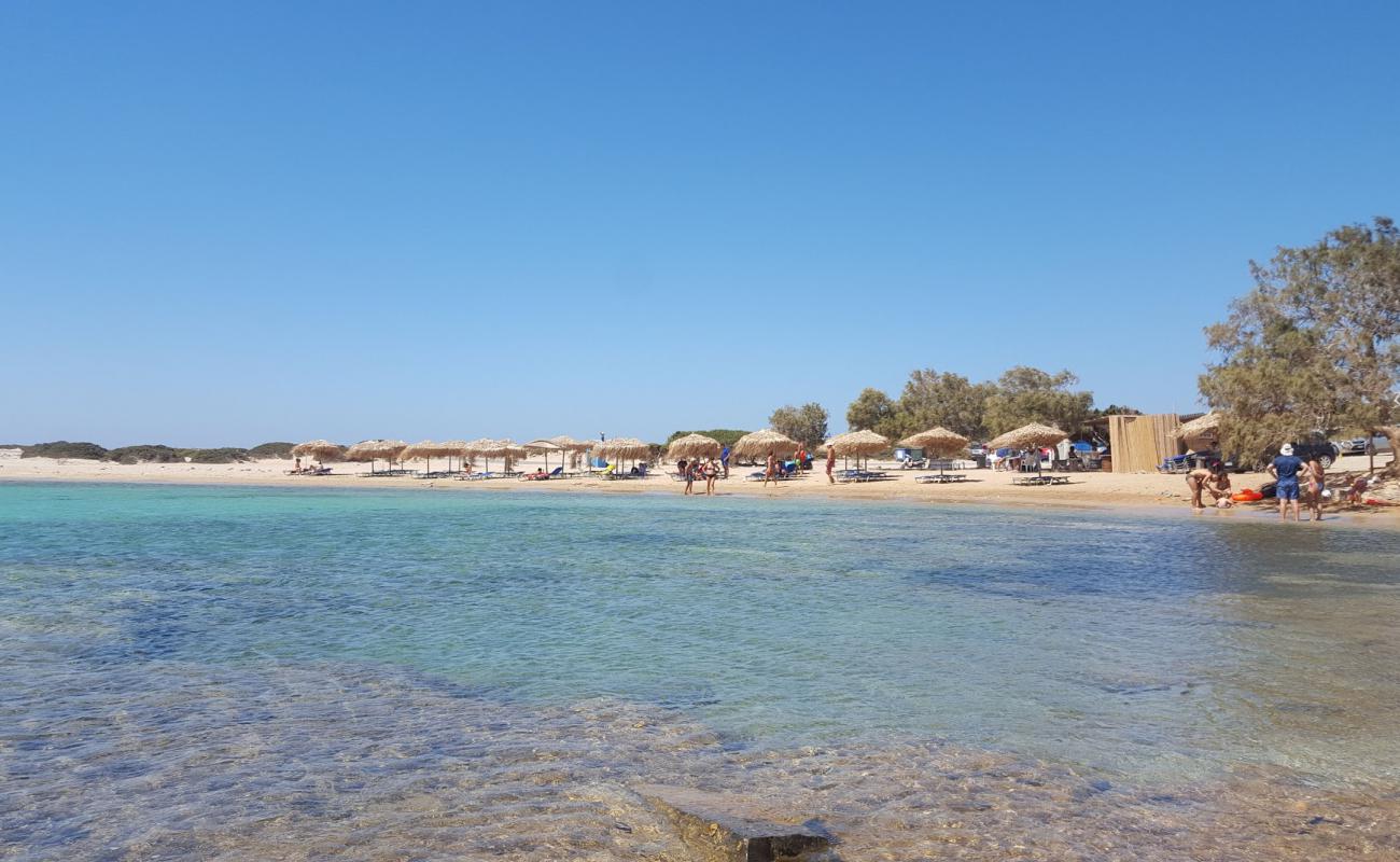 Photo de Kalotaritissa Beach avec sable brillant et rochers de surface