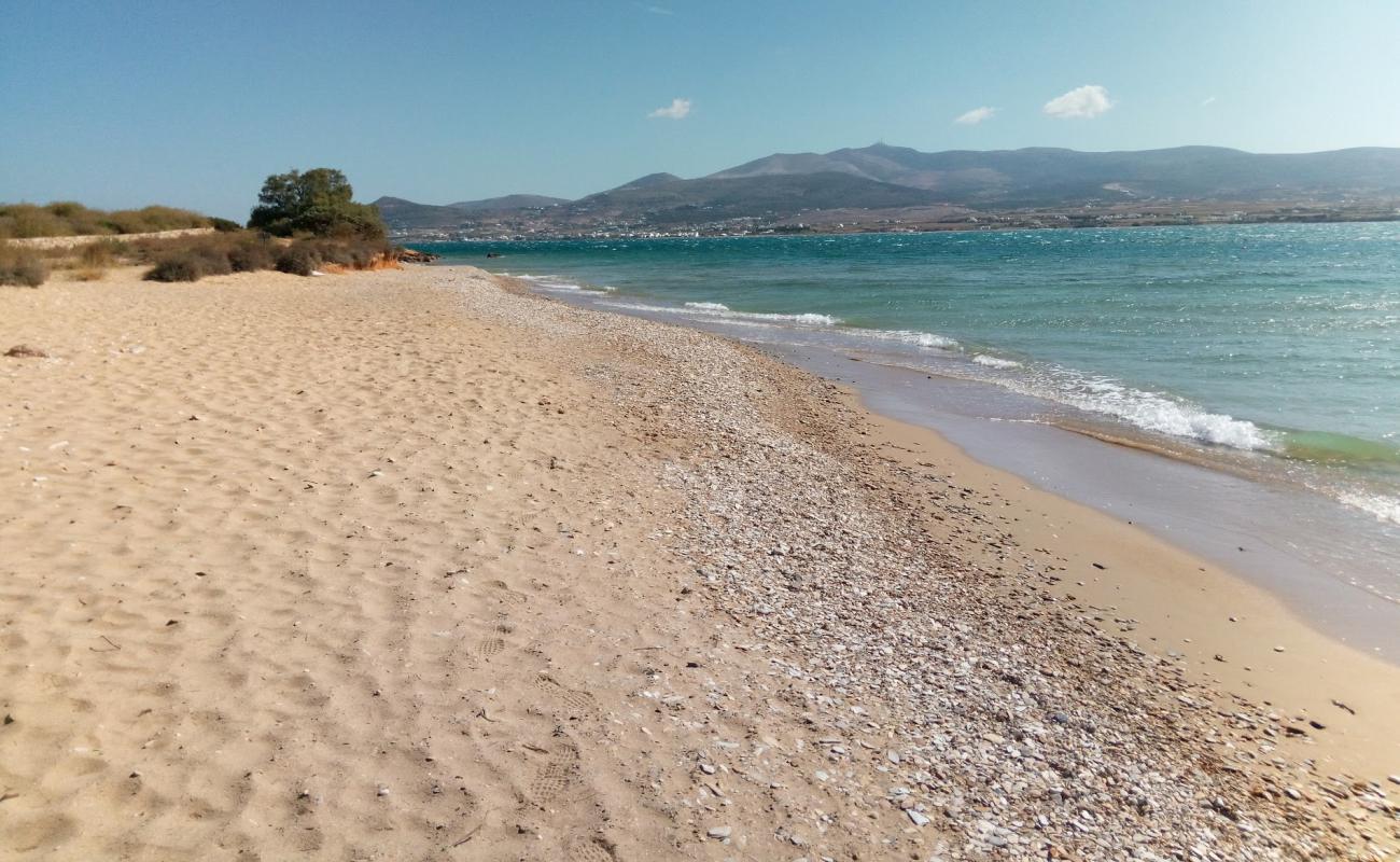 Photo de Panagia beach avec sable brun de surface