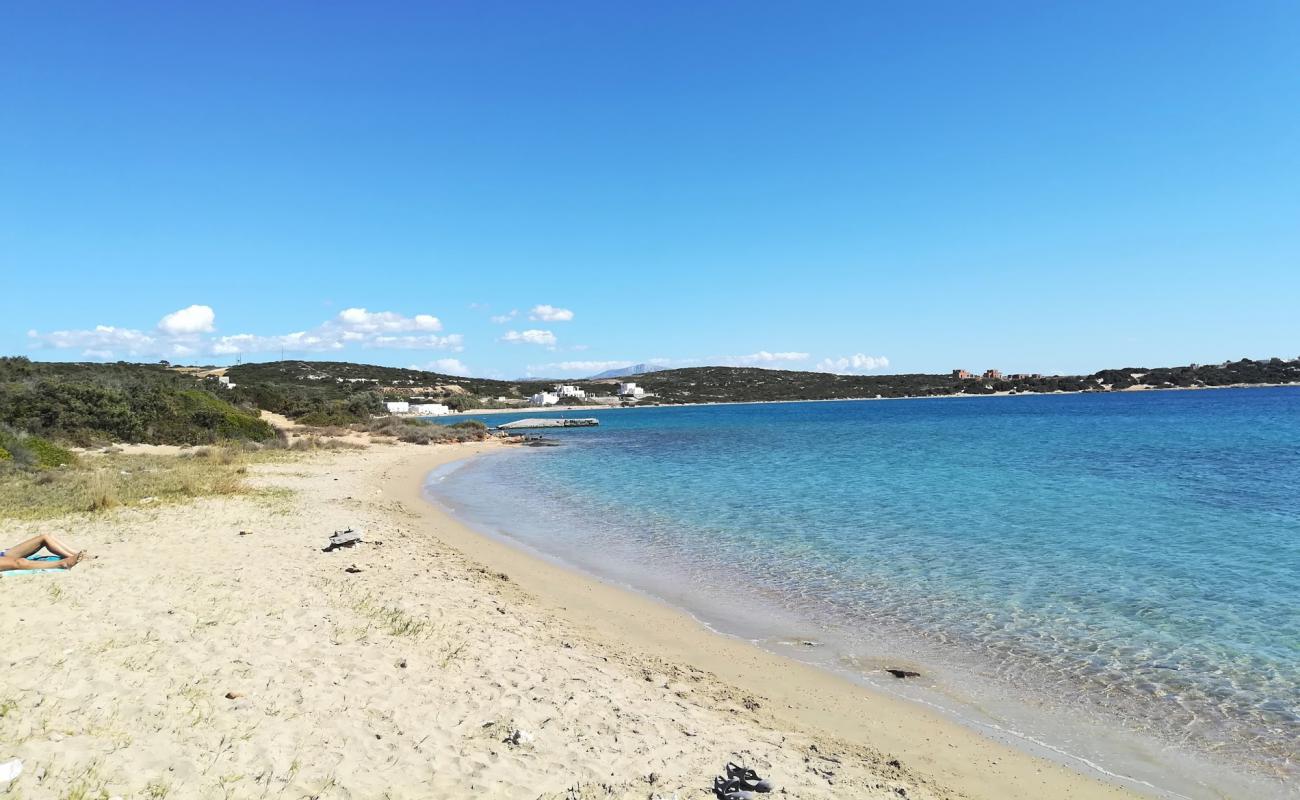 Photo de Dionisos beach avec sable fin et lumineux de surface