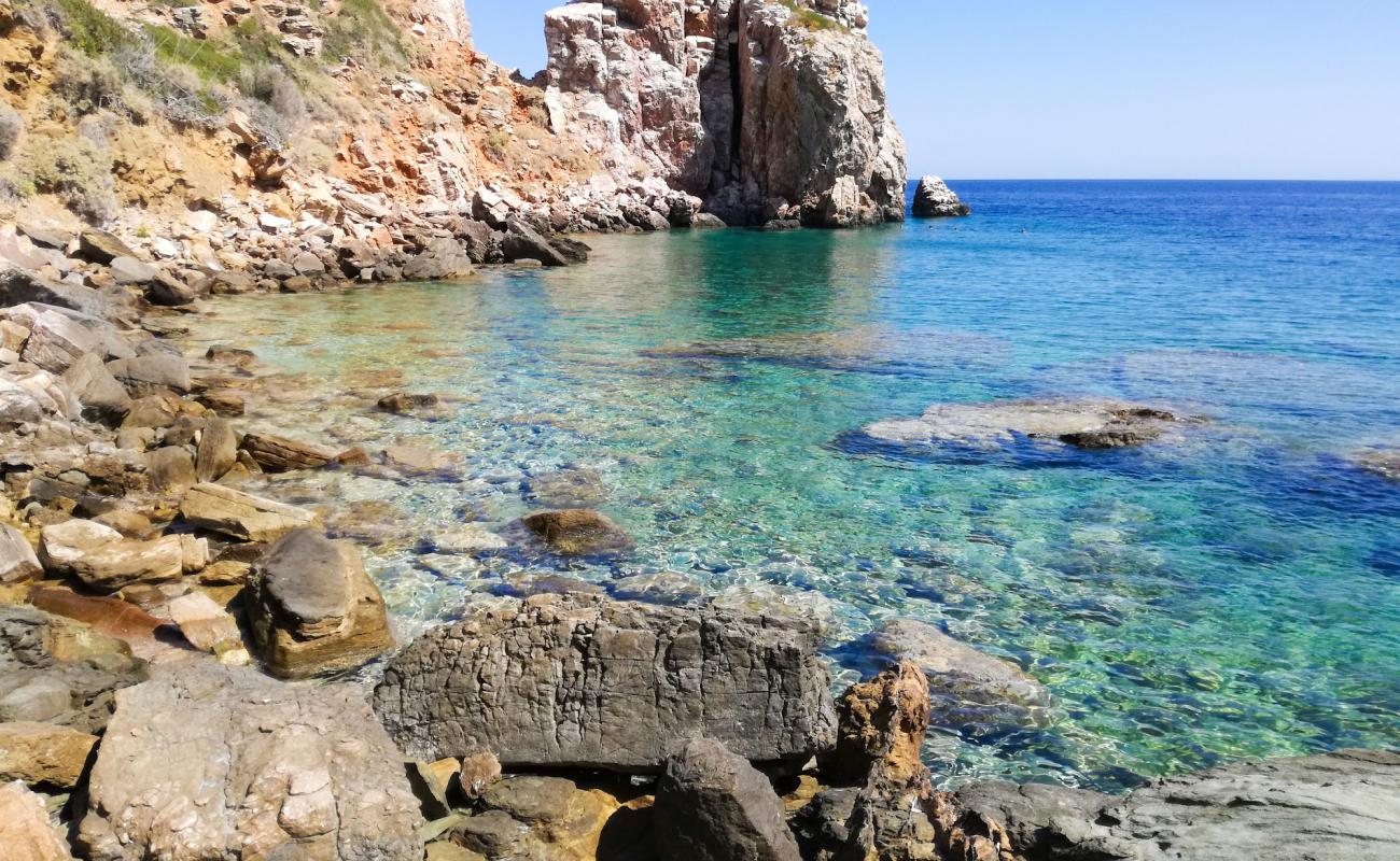 Photo de Paralia poulati avec terrain rocheux de surface