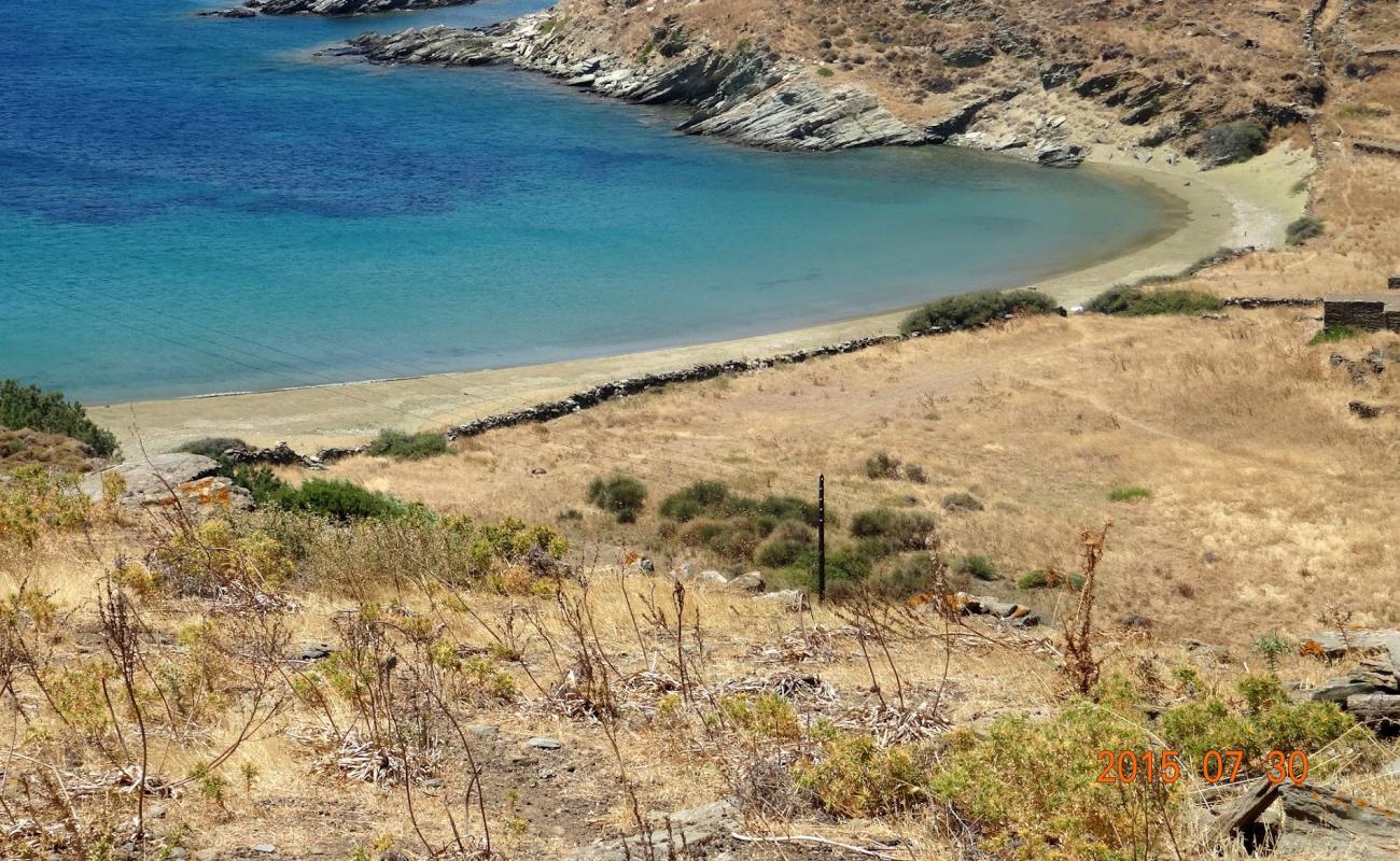 Photo de Apigania paralia avec sable lumineux de surface