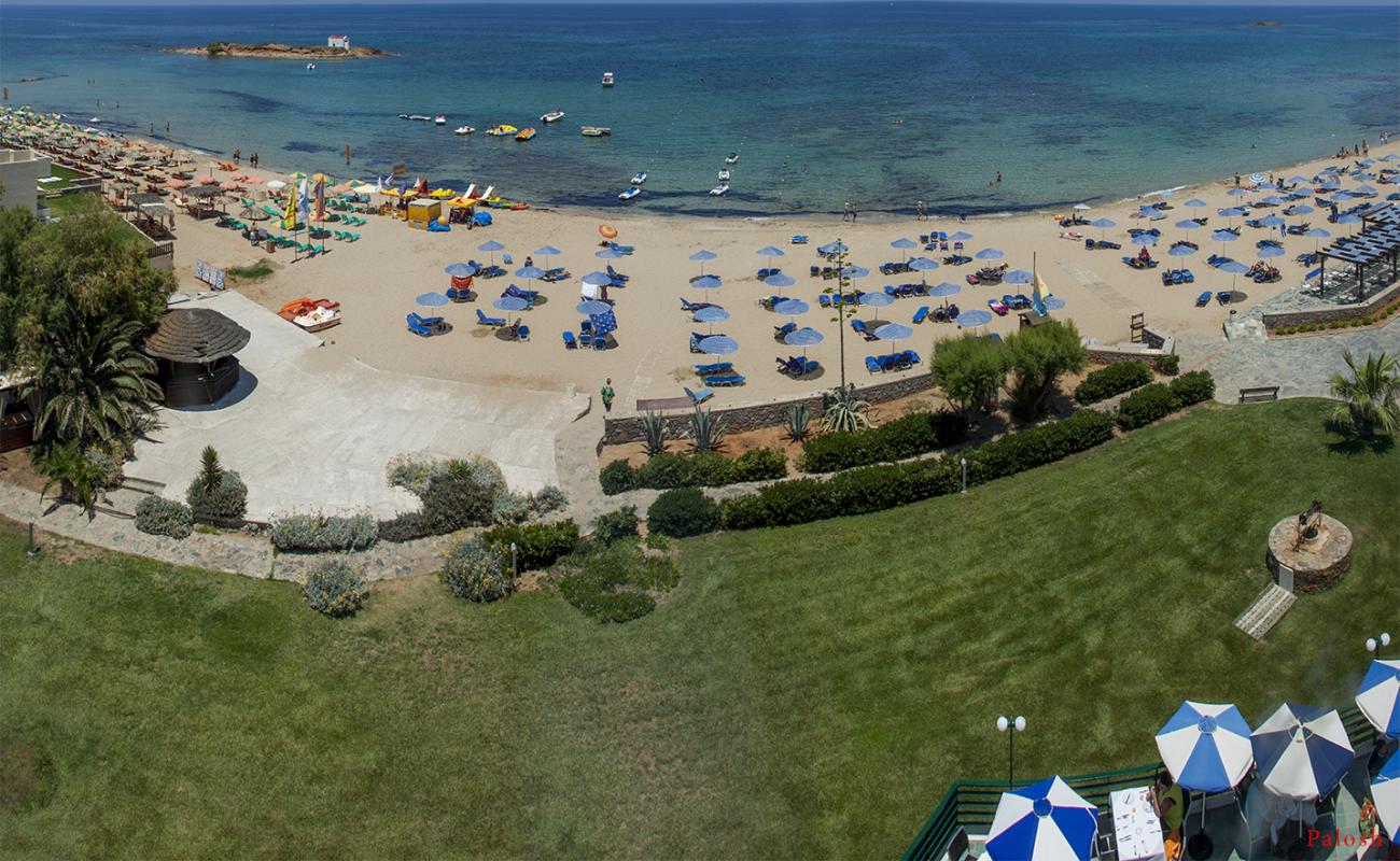 Photo de Malia Plage avec sable brun de surface