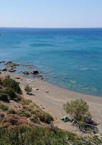 Sarakinos