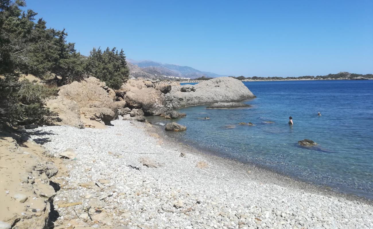 Photo de Wild Beach avec sable gris & galets de surface