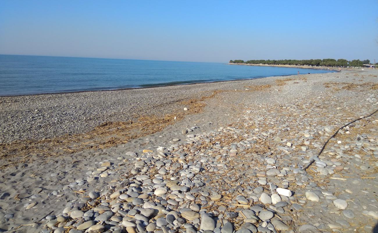 Photo de Rapaniana beach avec galets beige de surface