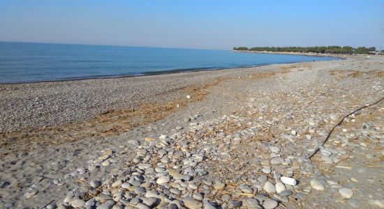 Rapaniana beach