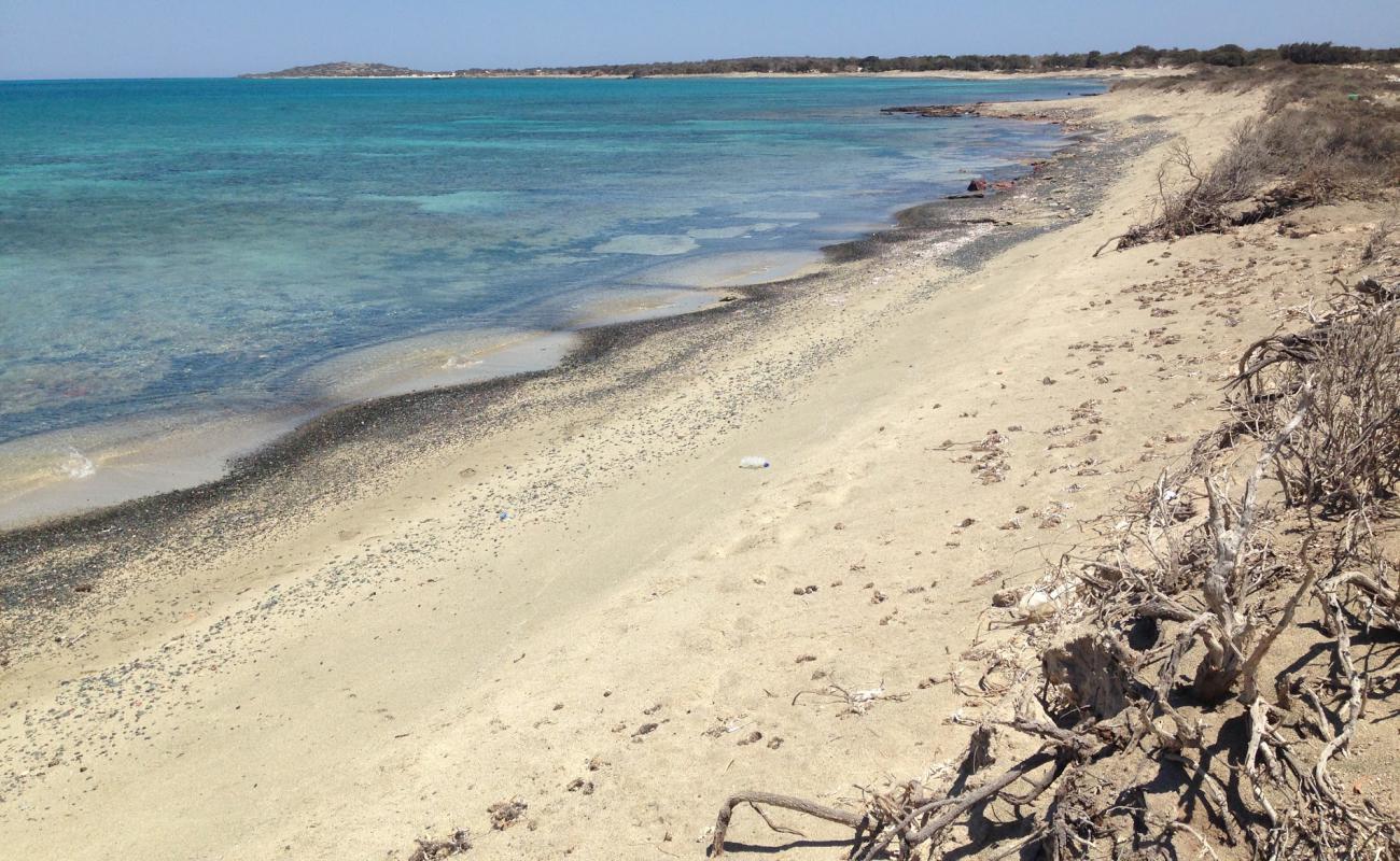 Photo de Avlaki beach avec sable lumineux de surface