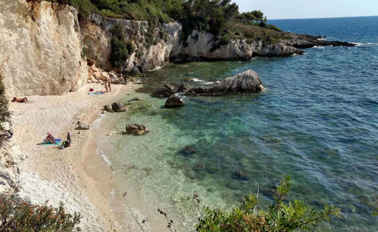 Photo de Crocodile beach avec galets beige de surface