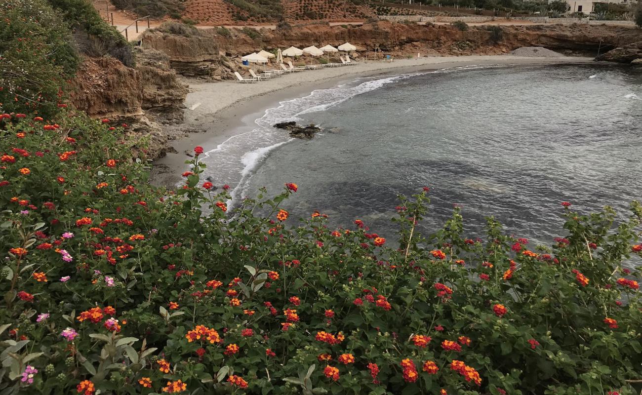 Photo de Alas Beach avec sable gris de surface