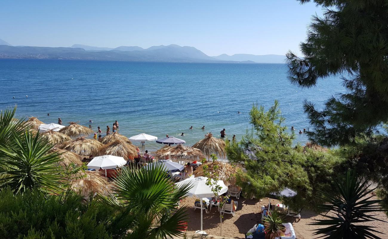 Photo de Paralia Avlidas avec sable beige de surface