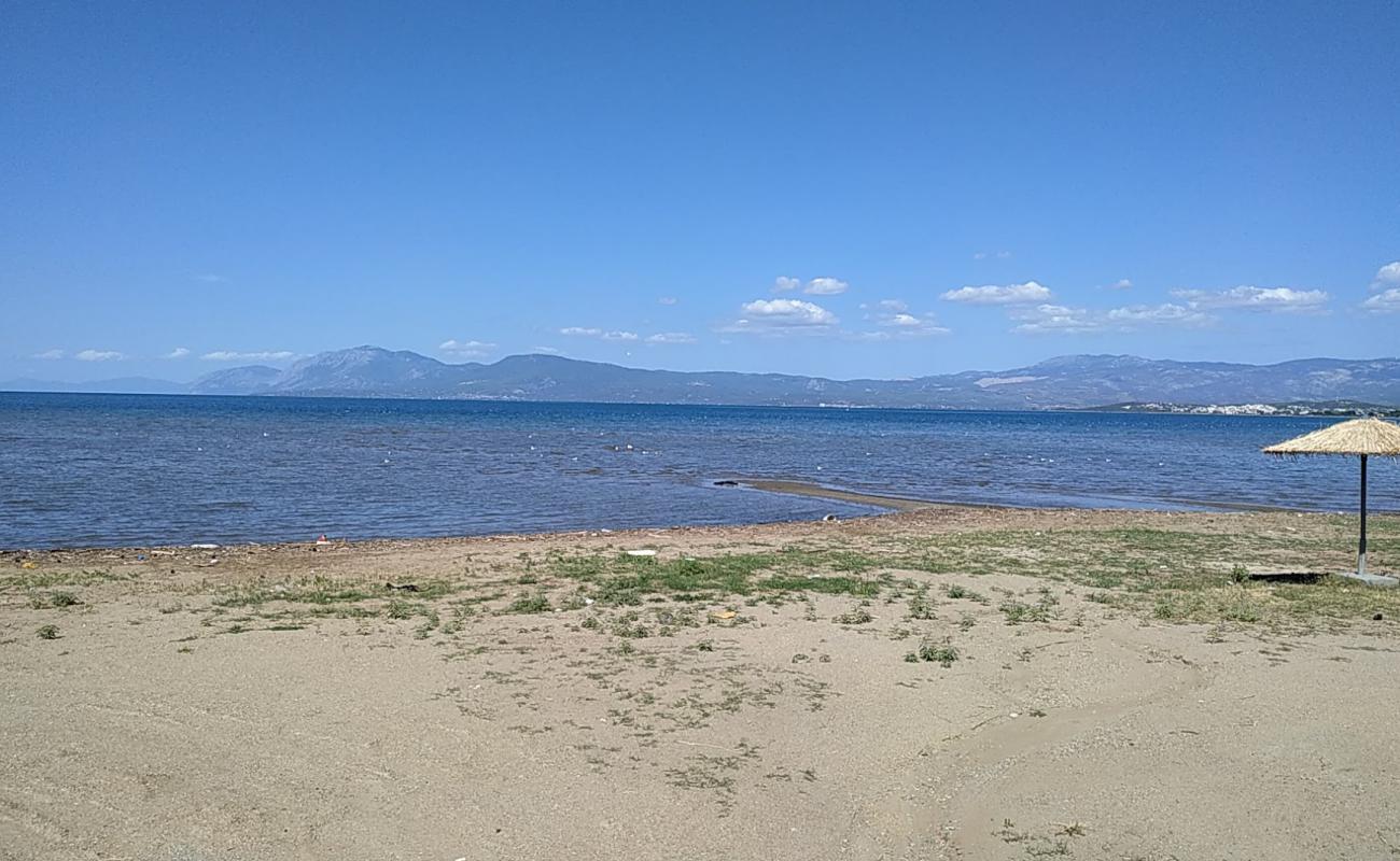 Photo de Paralia Liani Ammos avec sable gris de surface