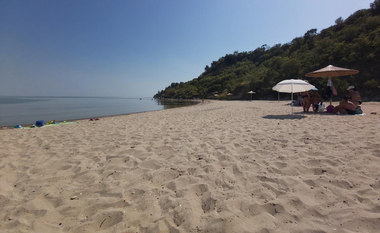 Photo de Kavourina Beach avec sable beige de surface