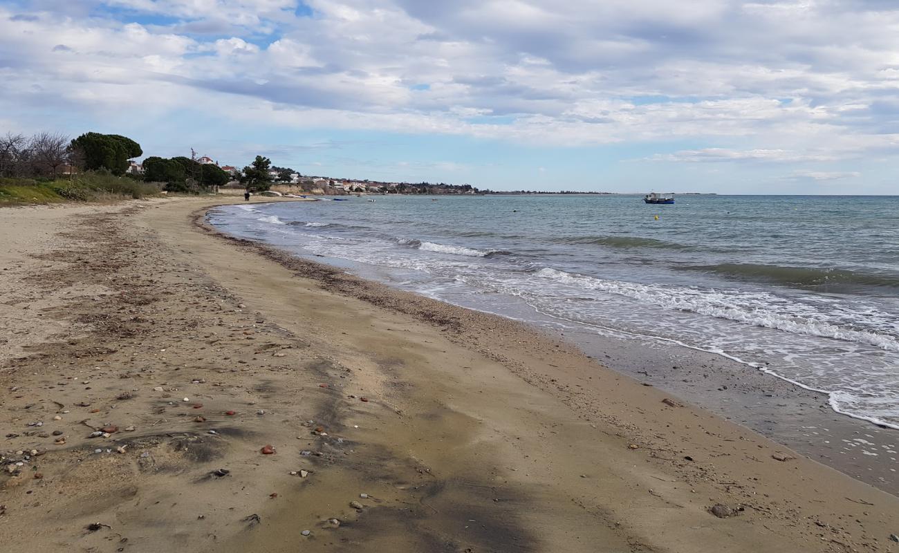 Photo de Ntouraki Beach avec sable beige de surface