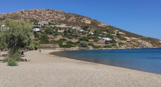 Paralia Agriolivado