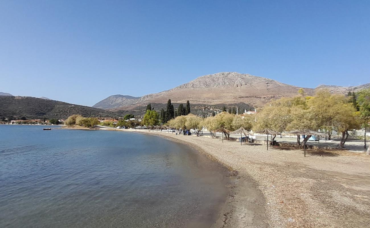 Photo de Panormos Beach avec galets gris de surface
