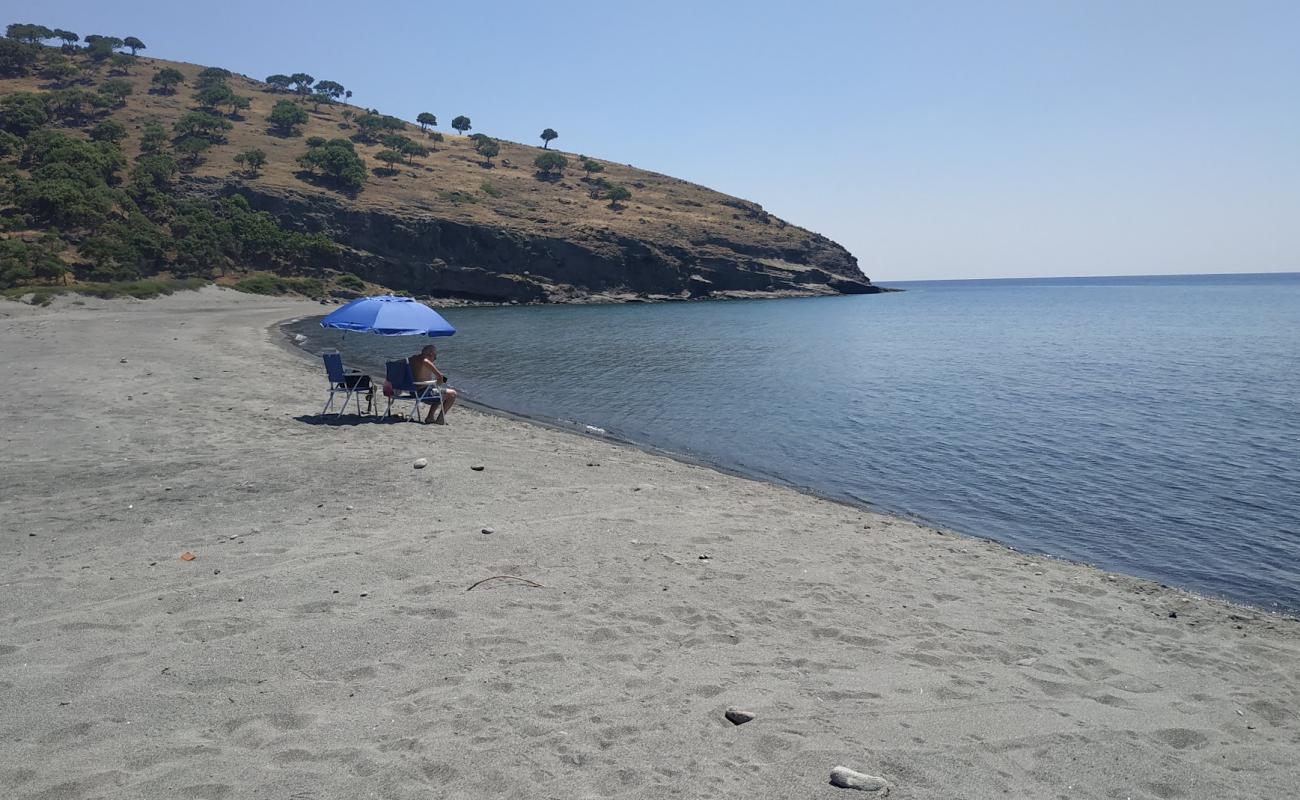 Photo de Paralia Trigari avec sable gris de surface