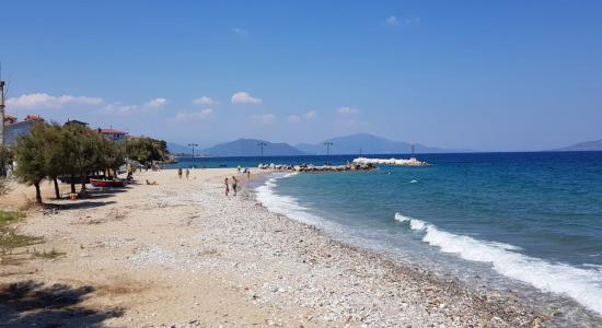 Beach Asmini
