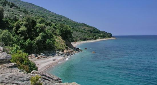 Elitsa Beach