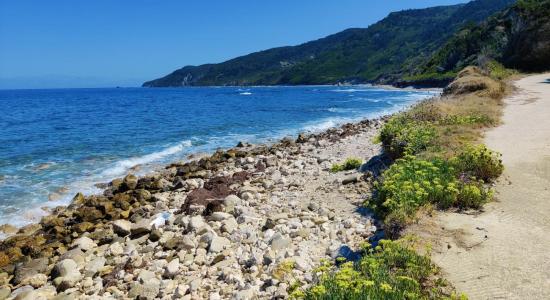 Fiki Beach
