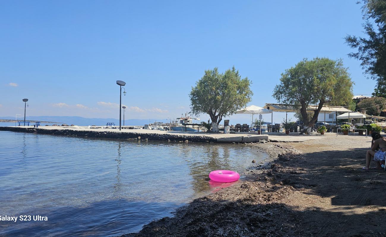 Photo de Paralia Geni Limani avec sable beige de surface