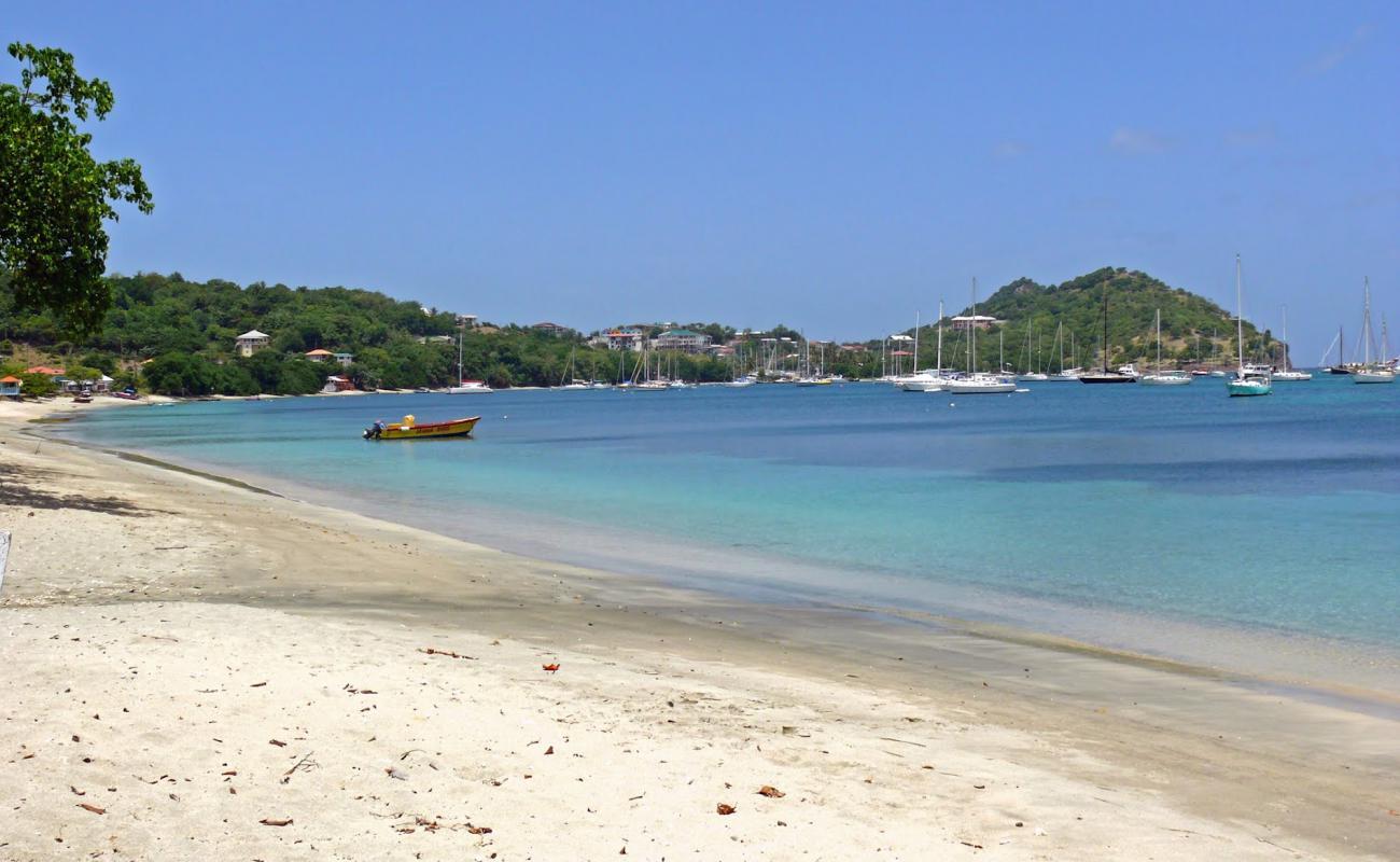 Photo de Tyrell Bay beach avec sable lumineux de surface