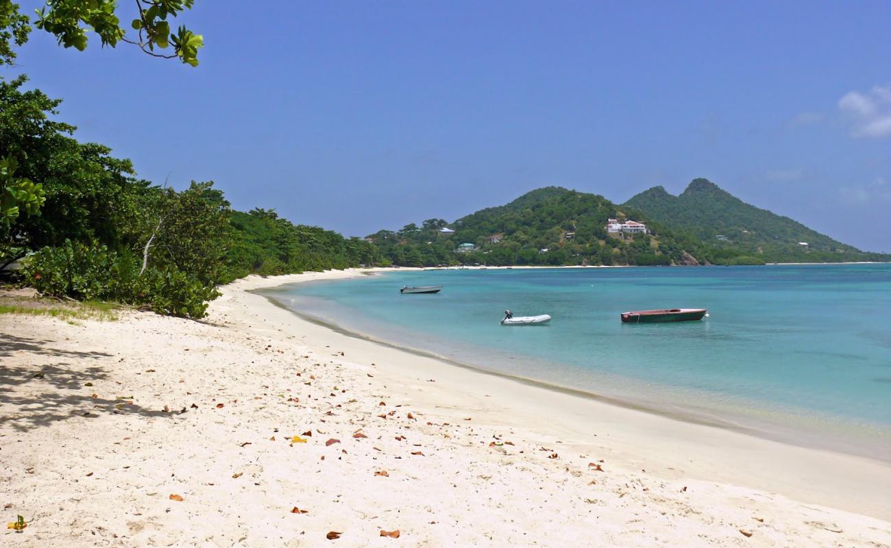 Photo de Paradise beach avec sable beige fin de surface