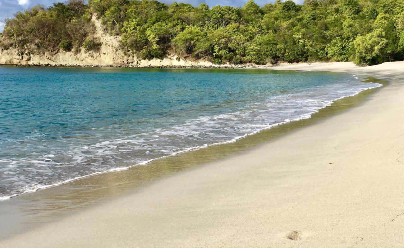 Photo de Anse La Roche Bay beach avec sable beige de surface