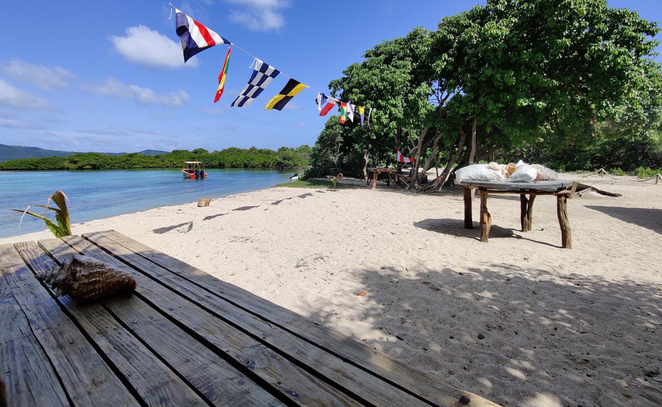 Photo de Saline Island beach avec sable beige de surface