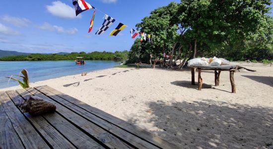 Saline Island beach