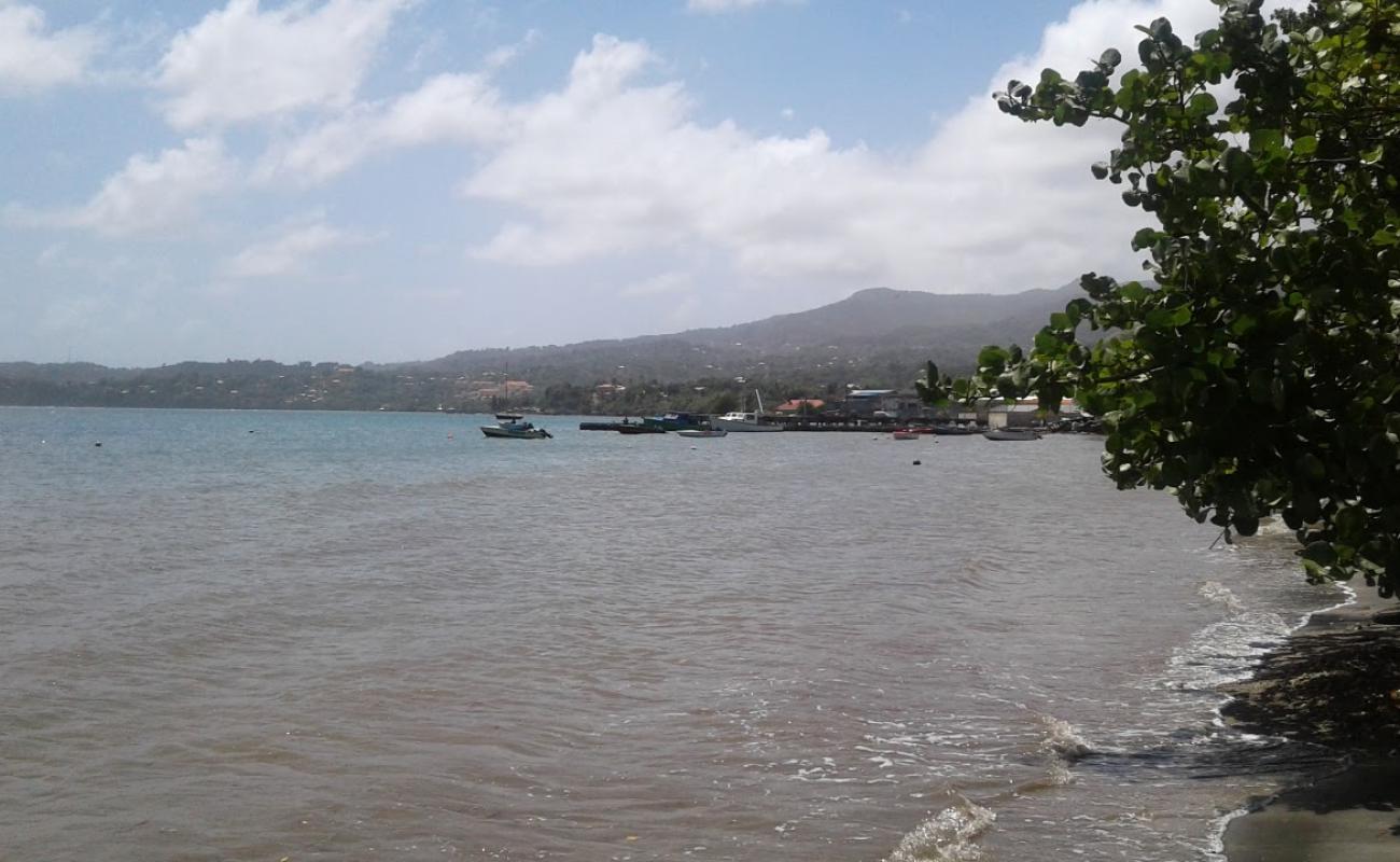 Photo de Grenville Bay beach avec sable gris de surface