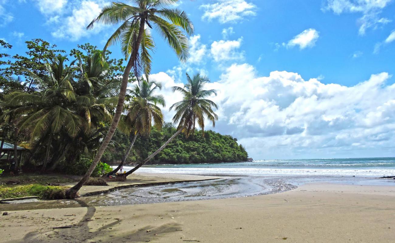 Photo de La Sagesse beach avec sable beige fin de surface