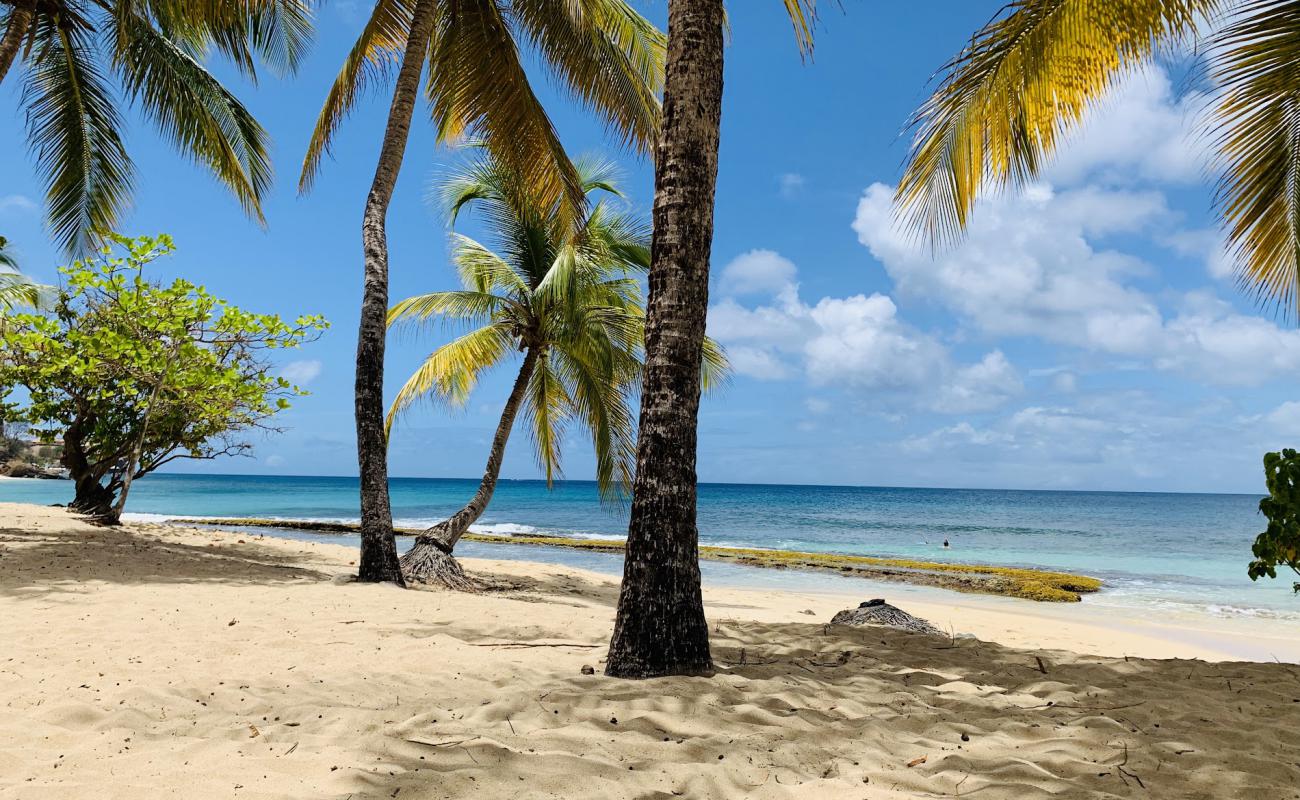 Photo de Magazine beach avec sable beige de surface