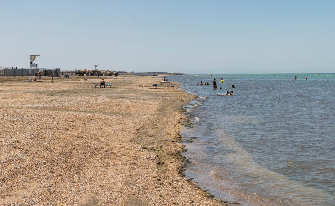 Photo de SeaZone Beach avec sable coquillier lumineux de surface